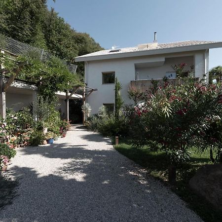 La Loggia Georg Lejlighed Pianizza di Sopra Eksteriør billede